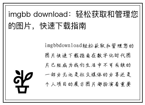 imgbb download：轻松获取和管理您的图片，快速下载指南